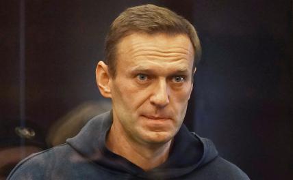На фото: Алексей Навальный