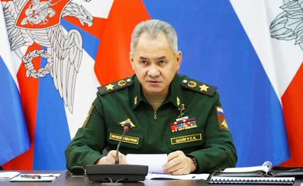 На фото: министр обороны РФ генерал армии Сергей Шойгу
