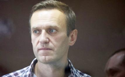 На фото: Алексей Навальный