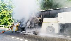 Автобусы с детьми столкнулись на трассе Джубга-Сочи: пострадавшие госпитализированы