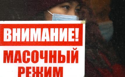 Коронавирусный кошмар продолжается: в России новый рекорд по числу смертей за сутки