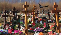 Сколько же за год в России появилось новых гробов и крематориев?