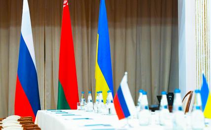 Эксперт о переговорах в Белоруссии: «понты» Украины неприемлемы
