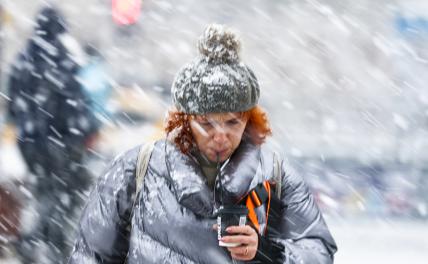 Прогноз погоды: в Москве опять сильный ветер и мокрый снег