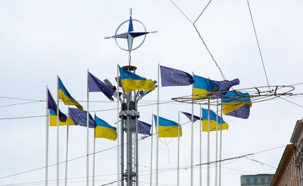 В Кремле назвали разницу между вступлением в НАТО Украины и Швеции с Финляндией