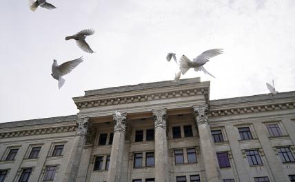 На фото: голуби у Дома провсоюзов в Одессе.