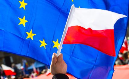 Брюссель идёт в dupu: Польша видит себя лидером ЕС