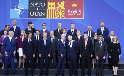Украина вбивает клин в НАТО: все ждут эффект бумеранга от санкций