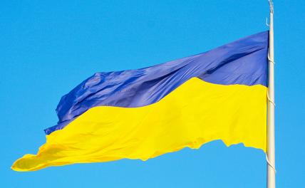 В Минобороны рассказали, чего стоила Украине акция с флагом на Змеином