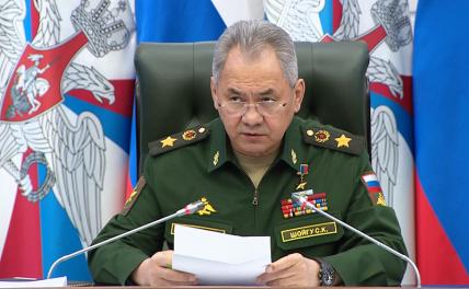 На фото: министр обороны РФ Сергей Шойгу.