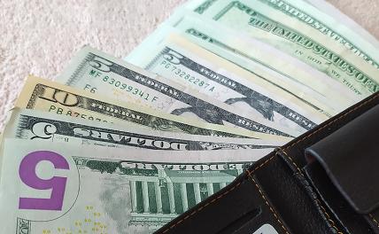 «Появилось желание запастись»: эксперт объяснил рост курса доллара