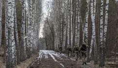 Зеленский дразнит Лукашенко: Киев ставит мины у границы прямо на асфальте