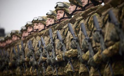 «Ждут отмашки»: Армия Украины закончила подготовку к наступлению в Запорожской области