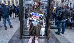 Демократы способны развалить США итогами президентских выборов