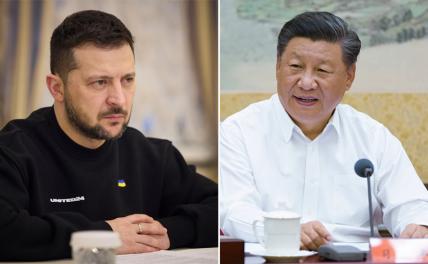 На фото слева направо: президент Украины Владимир Зеленский и председатель КНР Си Цзиньпин