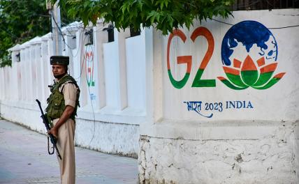 «Зеленский и G20, нет»: Индия опровергла приглашение президента Украины на саммит