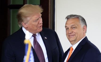 На фото: экс-президент США Дональд Трамп (слева) и премьер-министр Венгрии Виктор Орбан (справа)