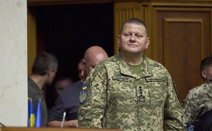 На фото: главнокомандующий украинскими войсками Валерий Залужный