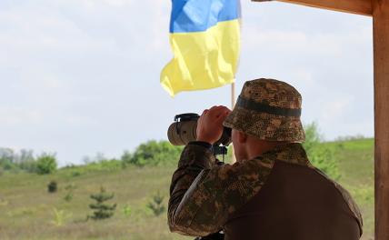 Страны Прибалтики отправят украинских мужчин на фронт