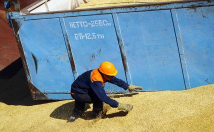 Bild: ООН готова выполнить условия России для разморозки зерновой сделки
