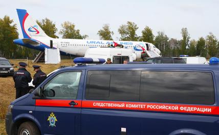 На фото: самолет "Уральских авиалиний", совершивший экстренную посадку на грунт в районе села Убинского из-за проблем с гидросистемой.