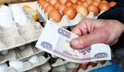«В угоду недругам-партнерам»: депутат назвал причину резкого роста цен на яйца