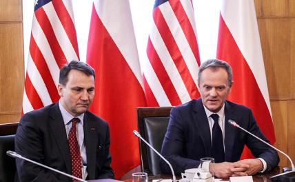 На фото: глава МИД Польши Радослав Сикорский и премьер-министр Дональд Туск (слева направо)