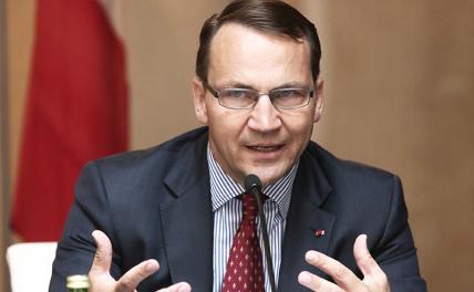 На фото: министр иностранных дел Польши Радослав Сикорский
