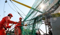 Британских рыбаков будем гнать  из Баренцева моря в шею