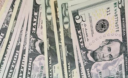 Эксперт сделала прогноз курса доллара до и после выборов