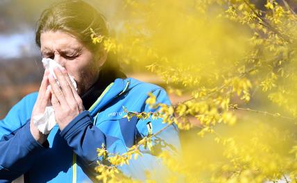 Россиянам озвучили особенности весенней аллергии в 2024 году