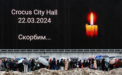 Российские звезды жертвуют миллионы пострадавшим при теракте в "Крокусе"