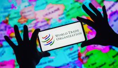 Поманили, обогрели, обманули: ВТО диктует России жесткие правила игры -  вход рубль, выход – сто