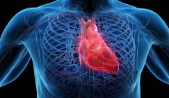 Взгляд кардиолога: Почему сердце покоя не дает