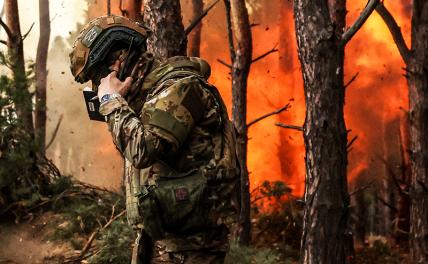 Окружение Покровска: «Русские сносят к чертям всё на своем пути» Окружение Покровска: «Русские сносят к чертям всё на своем пути»