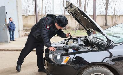 Регистрация автомобилей: идем на обгон западных демократий Регистрация автомобилей: идем на обгон западных демократий