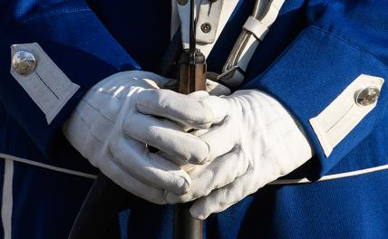 СМИ: Шведский гвардеец вонзил штык себе в голову во время смены караула СМИ: Шведский гвардеец вонзил штык себе в голову во время смены караула