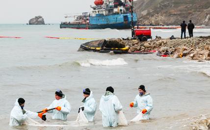 Один погибший волонтер: Мазутная катастрофа обойдется России куда дороже, чем кажется Один погибший волонтер: Мазутная катастрофа обойдется России куда дороже, чем кажется