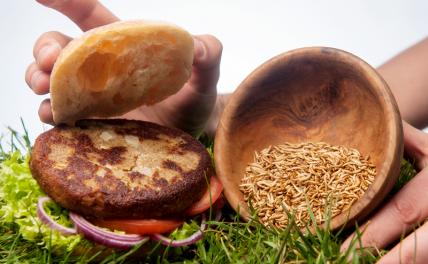 Евростандарт: ЕС регламентировал, когда, сколько и в каком виде можно есть мучного червя Евростандарт: ЕС регламентировал, когда, сколько и в каком виде можно есть мучного червя