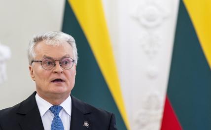 Президент Литвы пригрозил отправить военных на Украину Президент Литвы пригрозил отправить военных на Украину