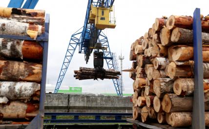 Обитатели завтрашних финских степей мечтают о прилете русской фанеры Обитатели завтрашних финских степей мечтают о прилете русской фанеры