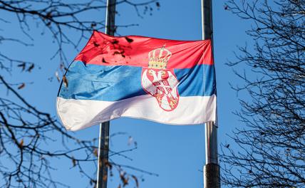 Москву и Белград разделила река нефти: «Газпром» пытается избежать миллиардных потерь в Сербии Москву и Белград разделила река нефти: «Газпром» пытается избежать миллиардных потерь в Сербии