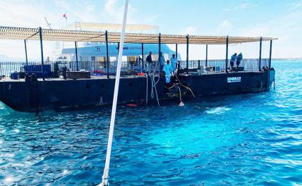 Последнее путешествие «Синдбада»: опаснее погружений только автобусные экскурсии Последнее путешествие «Синдбада»: опаснее погружений только автобусные экскурсии