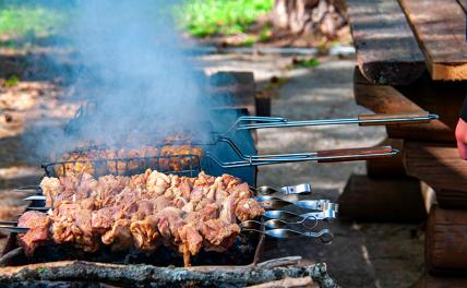 Диетолог назвала самый полезный способ приготовления шашлыка Диетолог назвала самый полезный способ приготовления шашлыка