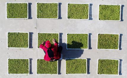 Врач назвала продукты с полезным для сердца антиоксидантом Врач назвала продукты с полезным для сердца антиоксидантом