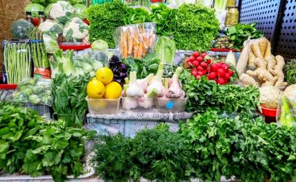 Врач рассказал, какая зелень необходима пожилым людям Врач рассказал, какая зелень необходима пожилым людям