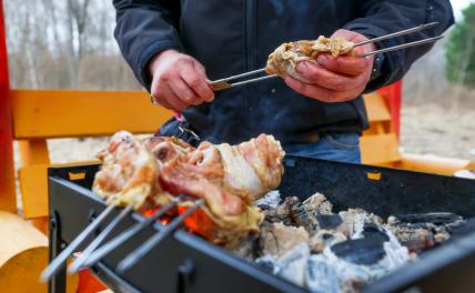 Россиянам рассказали, как готовить шашлык без вреда для здоровья Россиянам рассказали, как готовить шашлык без вреда для здоровья