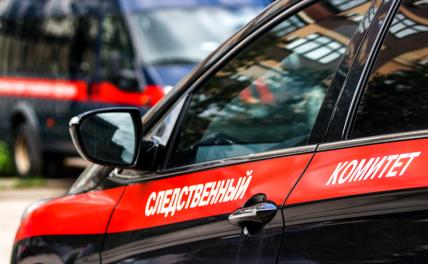 Посадили на кол? Прокуратура Пермского края контролирует расследование смерти девушки, которую нашли на заборе Посадили на кол? Прокуратура Пермского края контролирует расследование смерти девушки, которую нашли на заборе