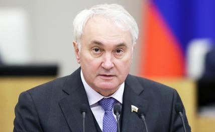 Картаполов: У Зеленского манипуляторка не выросла, чтобы чем-то манипулировать