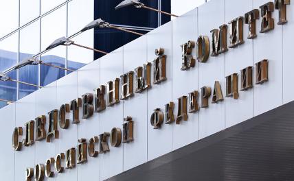 Избиение школьницы в Свердловской области: СК РФ взял дело под особый контроль Избиение школьницы в Свердловской области: СК РФ взял дело под особый контроль